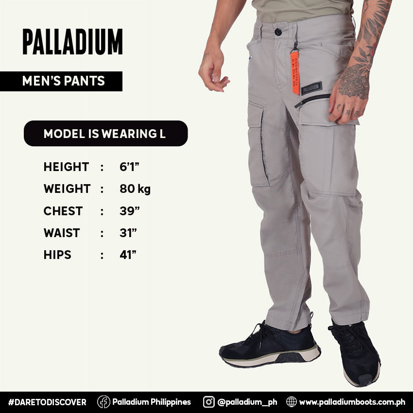 CARGO PANTS AVN PATCH MEN'S PANTS -   GRAY FLANNEL